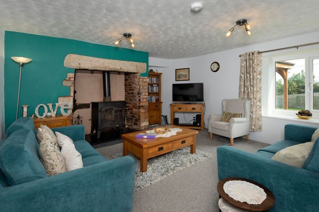Patchacott Farm [LOT 1], Patchacott, Beaworthy photo 3