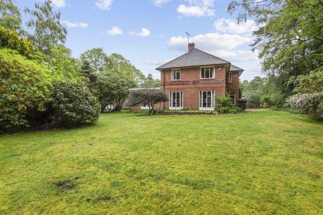 Thumbnail Detached house for sale in Larch Avenue, Ascot