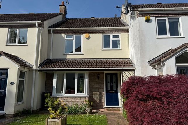 Thumbnail Terraced house for sale in Warwick Place, Thornbury, Bristol