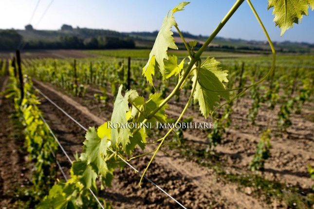Farm for sale in Montepulciano, Tuscany, Italy