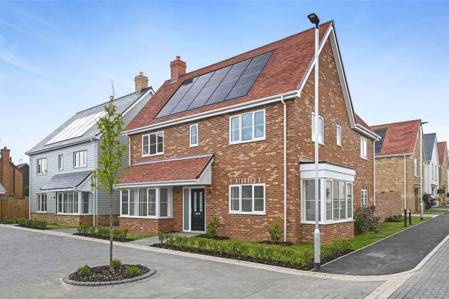 Detached house to rent in Windermere Way, Rettendon Common, Chelmsford, Essex