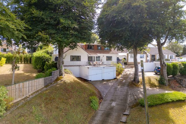 Beechwood, Torquay photo 2