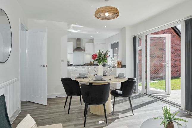 Internal Photography