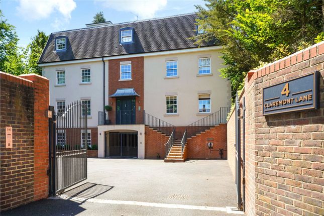 Front And Driveway