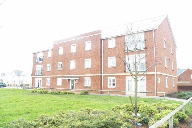 Thumbnail Property to rent in Clayton Drive, Swansea