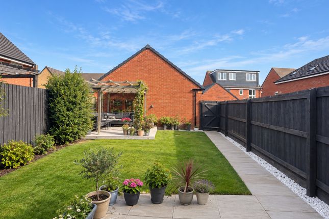 Mayfly Road, Northampton photo 3