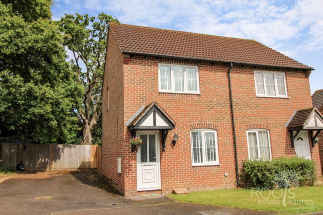 Front And Driveway