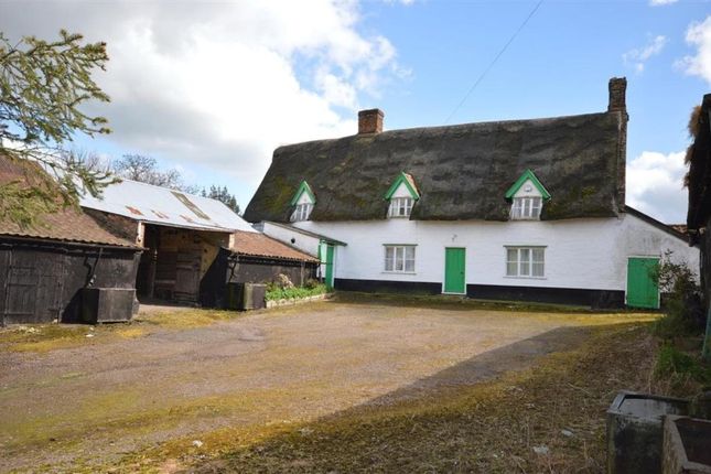 house for sale east anglia auction house east anglia nr4 property for sale from auction house east anglia estate agents house for sale east anglia auction house east anglia nr4 property for sale from auction house east anglia estate agents