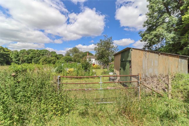 1, Newton Toney, Wiltshire photo 4