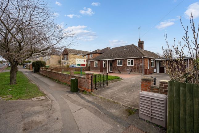 Detached bungalow for sale in High Street, Cherry Hinton