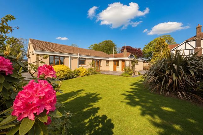55, Rehoboth Road, Llanelli photo 4