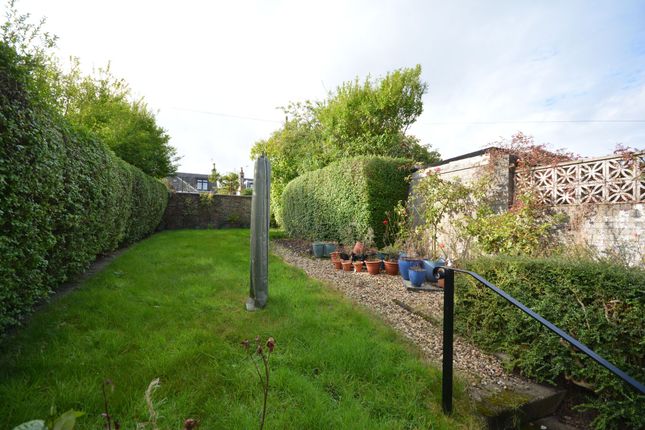 36 Alma Street, Falkirk photo 4