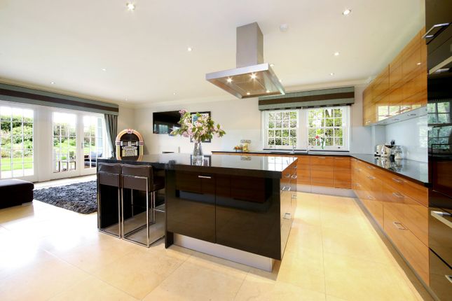 The Blue House,, Wilton Lane, Beaconsfield photo 3