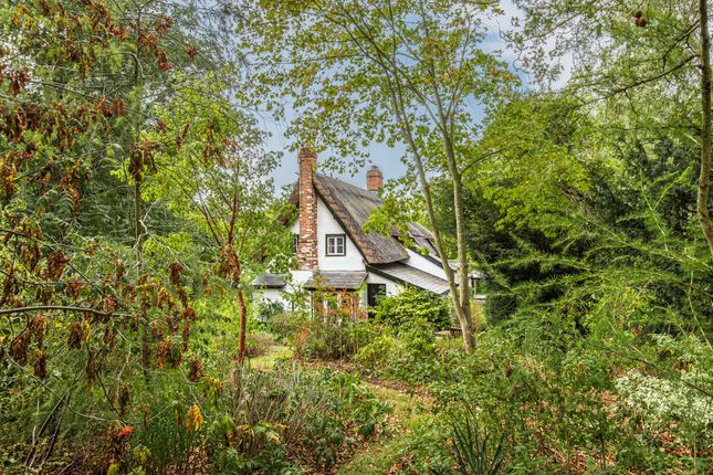 Beech Cottage, Stowmarket photo 4