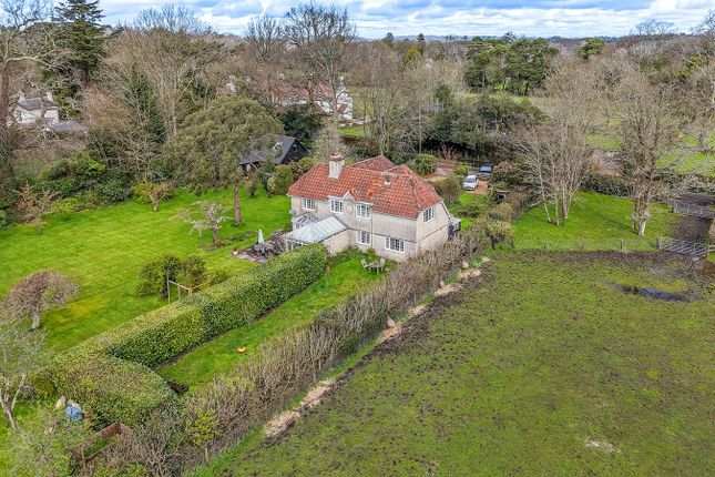 Thumbnail Semi-detached house for sale in Bisterne Close, Burley, Ringwood