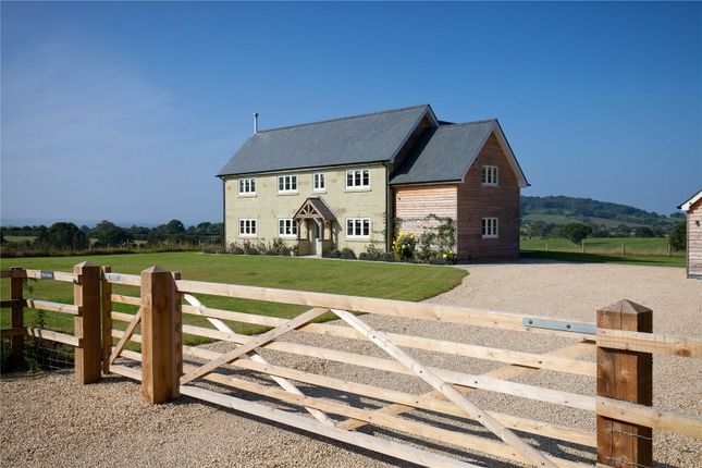 Thumbnail Detached house for sale in Calves Lane, Shaftesbury