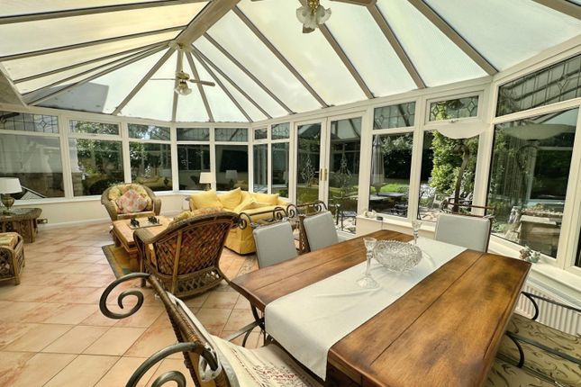 996c4847-Whatsapp 20Image 202025-05-19 20At 2015.1