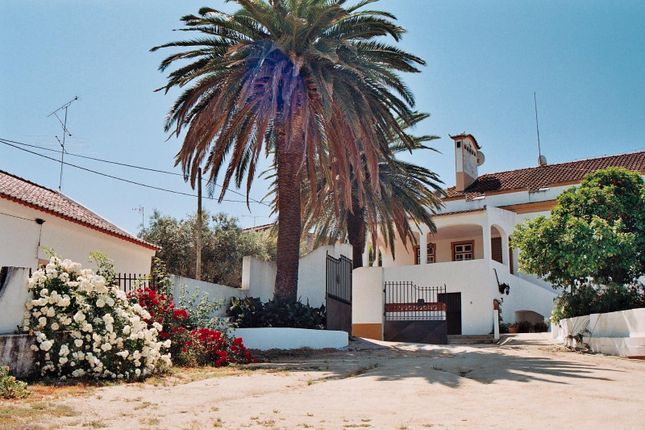 Thumbnail Farmhouse for sale in Alter Do Chão, Alter Do Chão, Portalegre, Alentejo, Portugal