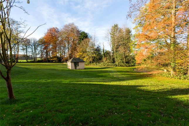 Grounds