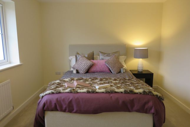41, Harrier Drive, Ashford photo 5