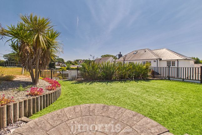 Dechrau Newydd, Cardigan photo 3