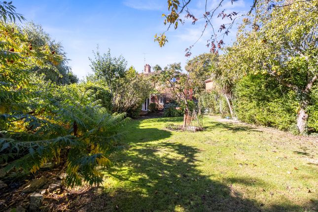 11 Hollands Road, Henfield photo 4