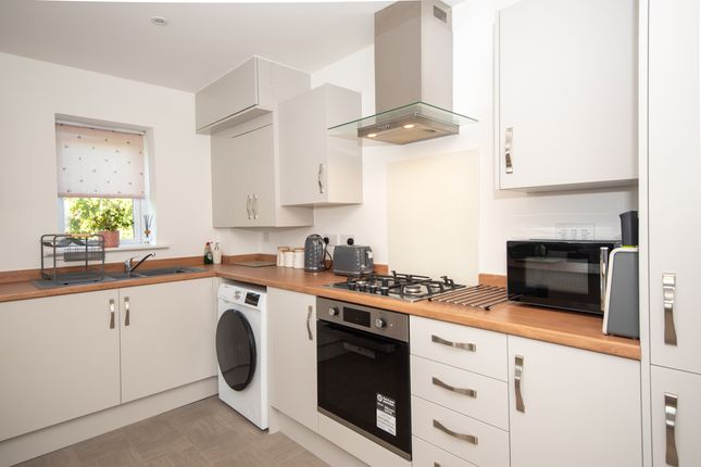 4 Primrose Court, Alton photo 4