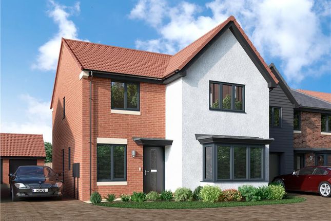 Thumbnail Detached house for sale in "The Rowan" at The Ladle, Middlesbrough