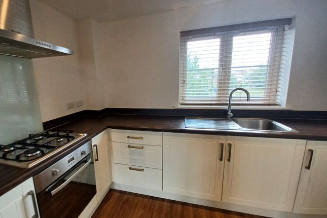 35, Paignton photo 4