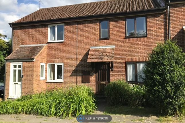 Terraced house to rent in Bishop's Way, Canterbury CT2