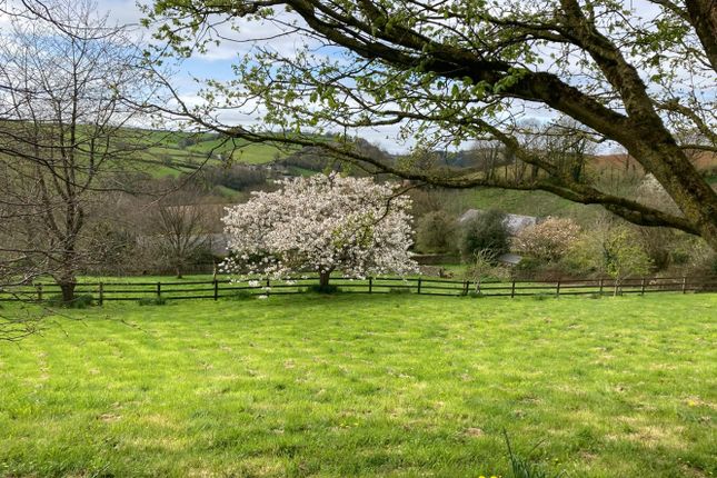 Ashprington, Totnes photo 2