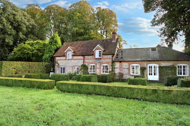 Thumbnail Detached house to rent in Stable Cottages, Burkham, Alton, Hampshire