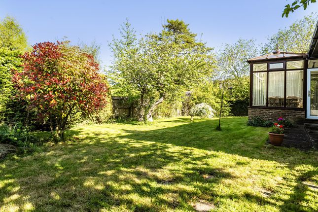 Millditch Orchard, Millditch, Bratton photo 2