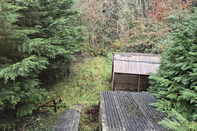 Gelli Werdd, Maesyderi, Ystrad Meurig photo 4