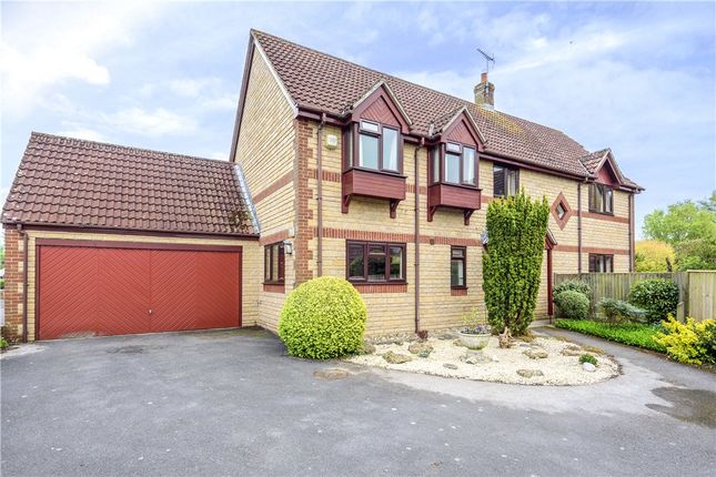 Thumbnail Detached house for sale in Parrett Mead, South Perrott, Beaminster, Dorset