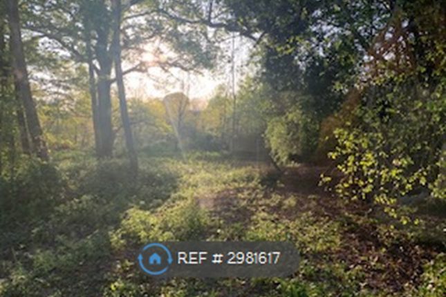 Homestead  Lunces Common, Ditchling Rd Wivelsfield, Haywards Heath photo 4