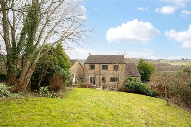 Rear Lawned Garden