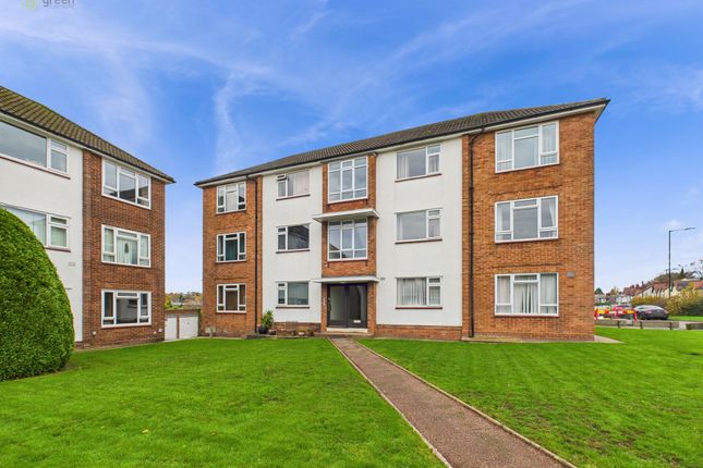 Cam03830G0-Pr0239-Still010