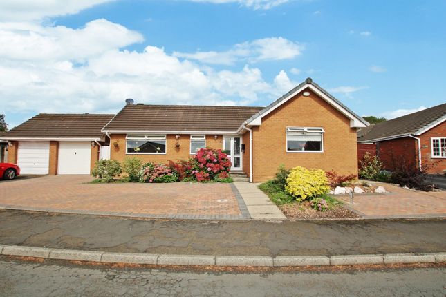 Thumbnail Detached bungalow for sale in Sovereign Fold Road, Leigh