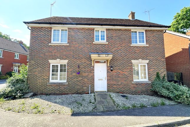 Thumbnail Detached house to rent in Woodlands, Bexhill On Sea