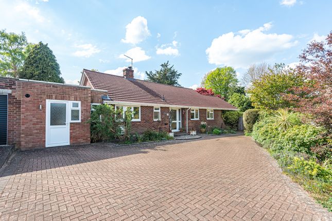 Thumbnail Bungalow for sale in Chappell Close, Liphook, Hampshire