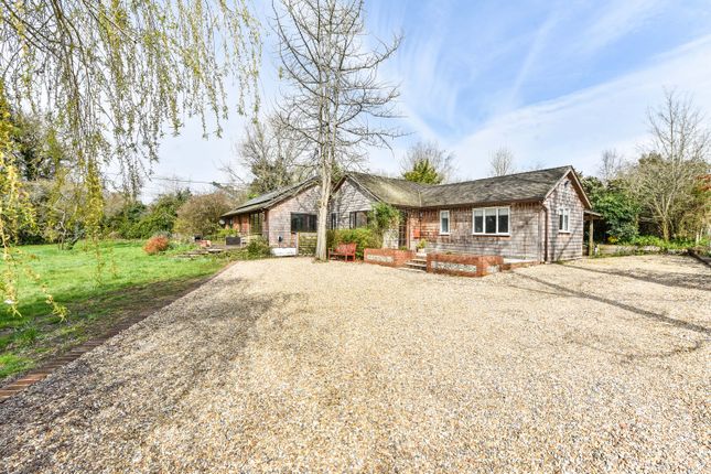 Detached bungalow to rent in Winchester Road, Stroud, Petersfield, Hampshire GU32