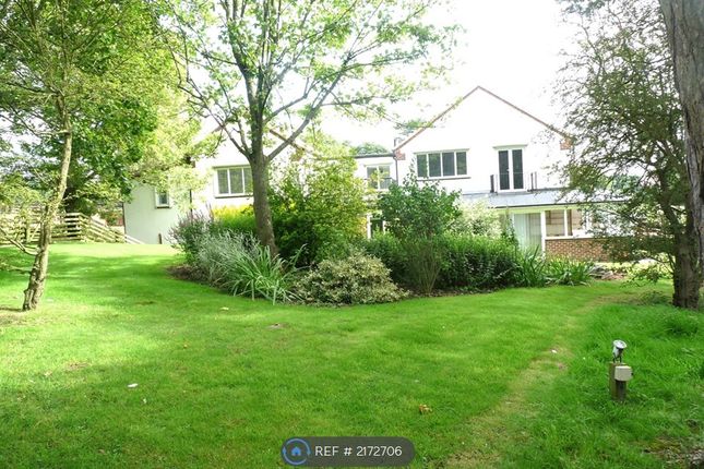 Thumbnail Semi-detached house to rent in Saltergill Park, Yarm