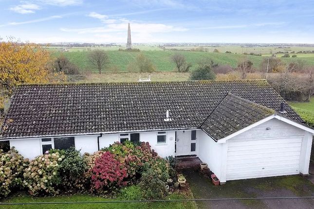 Thumbnail Detached bungalow for sale in Bilsington, Ashford