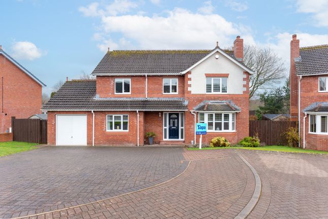 Thumbnail Detached house for sale in Woodgrove Avenue, Dumfries