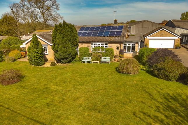 Thumbnail Detached bungalow for sale in Eastgate, Scotton