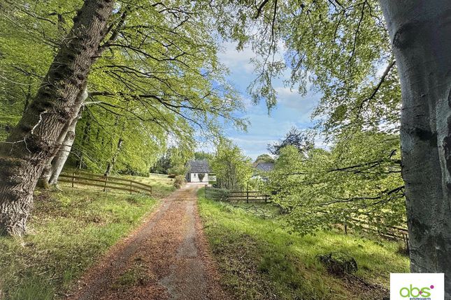 Bennan, Craigellachie, Aberlour photo 2