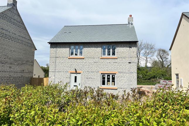 Detached house for sale in Ham Lane, Compton Dundon, Somerton