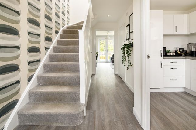 The Andrew - Plot 115, Sibbalds Wynd, Sibbalds Brae, Bathgate photo 3