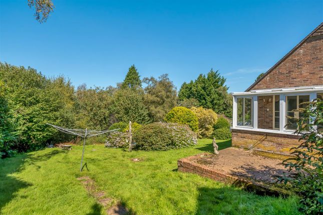 Detached bungalow for sale in Crewkerne Road, Axminster, Devon